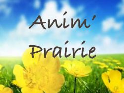 Anim’Prairie