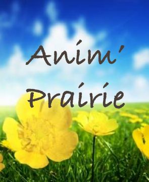 Anim’Prairie