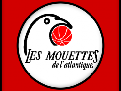 les mouettes de l’atlantique