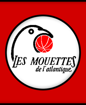 les mouettes de l’atlantique