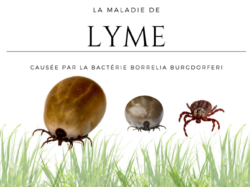 CONFÉRENCE MALADIE DE LYME