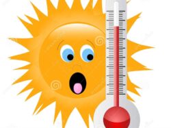 Alerte canicule