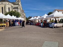 6-septembre-marché-2